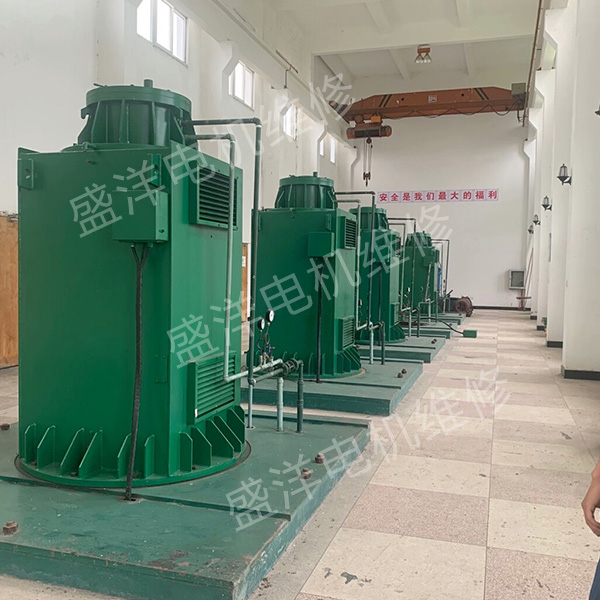 安庆专业维修电机